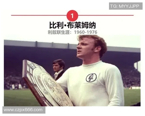 探索足球明星5号背后的传奇故事与他们的辉煌成就